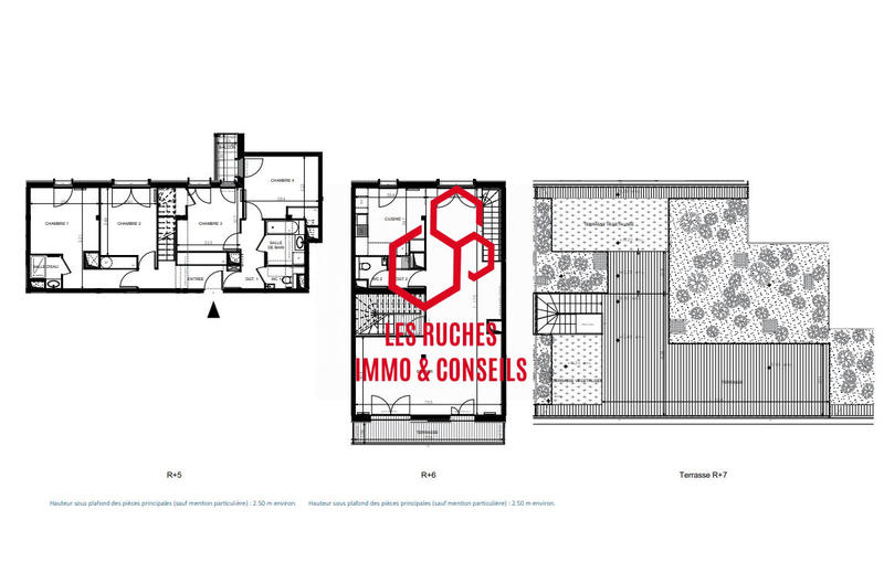 Duplex - 147 m² - 5 pièces