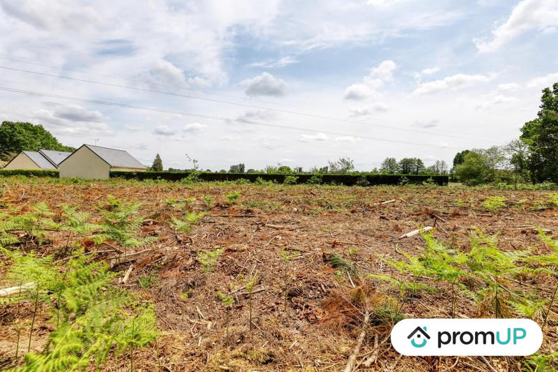 Terrain de loisirs - 4 000 m²