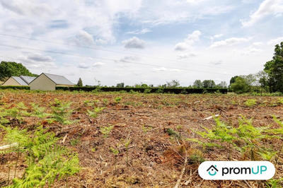 Terrain de loisirs - 4 000 m²