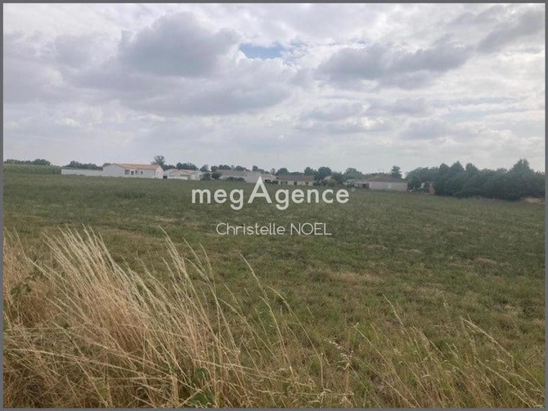 Terrain constructible - 10 000 m²
