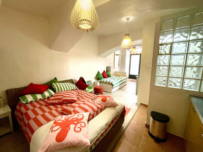 Appartement - 24 m² - 1 pièce