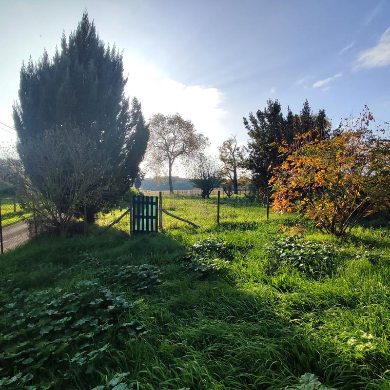 Maison ancienne - 143 m² - 5 pièces