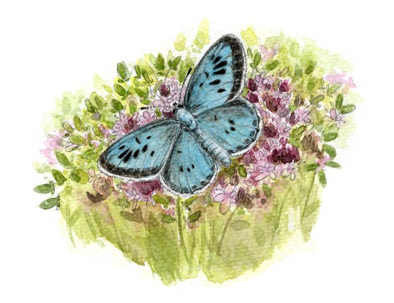 L'art au Féminin Angélique Moreau et ses drôles de dames