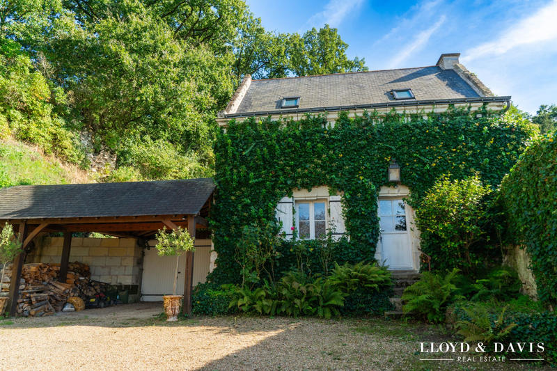 Viager - Manoir - 355 m² - 16 pièces