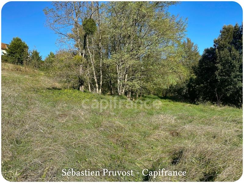 Terrain constructible - 6 647 m²