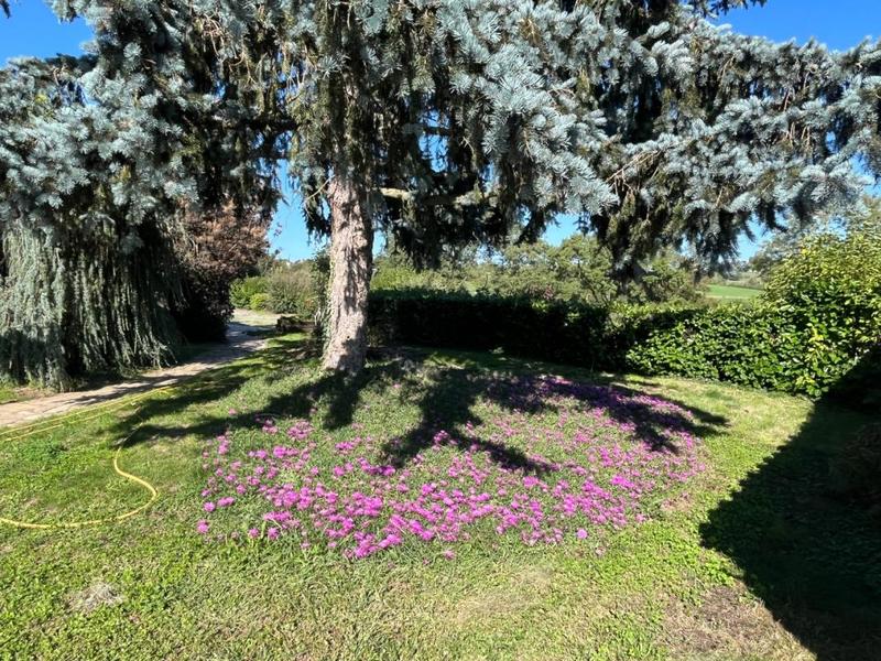 Maison - 186 m² - 5 pièces