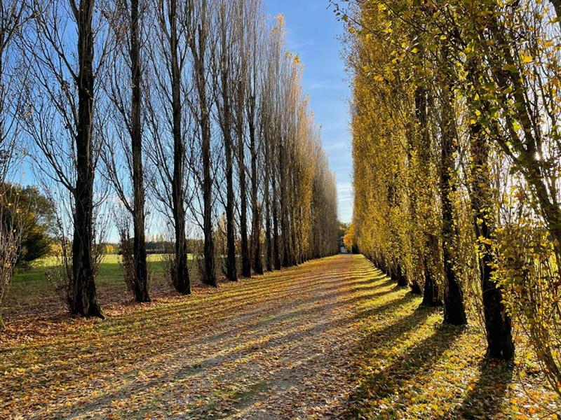 Propriété - 301 m² - 8 pièces