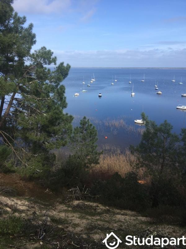 Appartement - 29 m² - 2 pièces