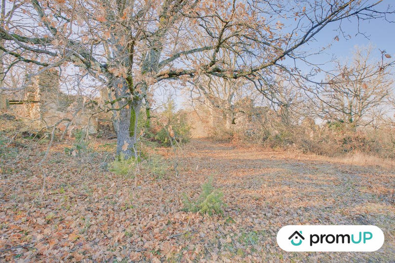 Terrain de loisirs - 44 605 m²