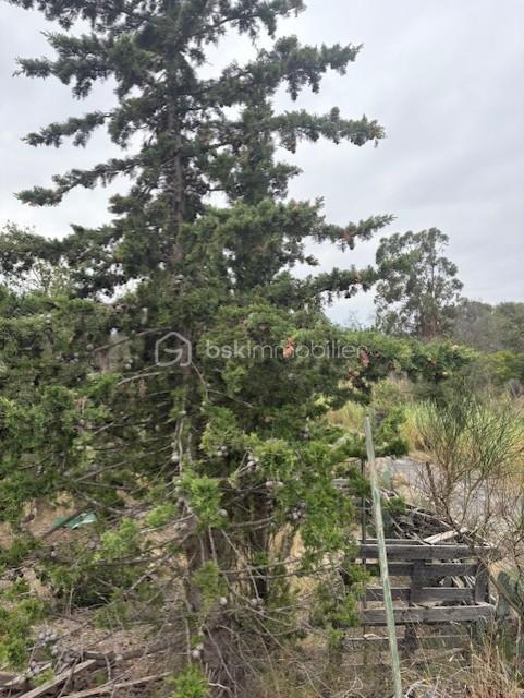 Terrain agricole - 1 590 m²