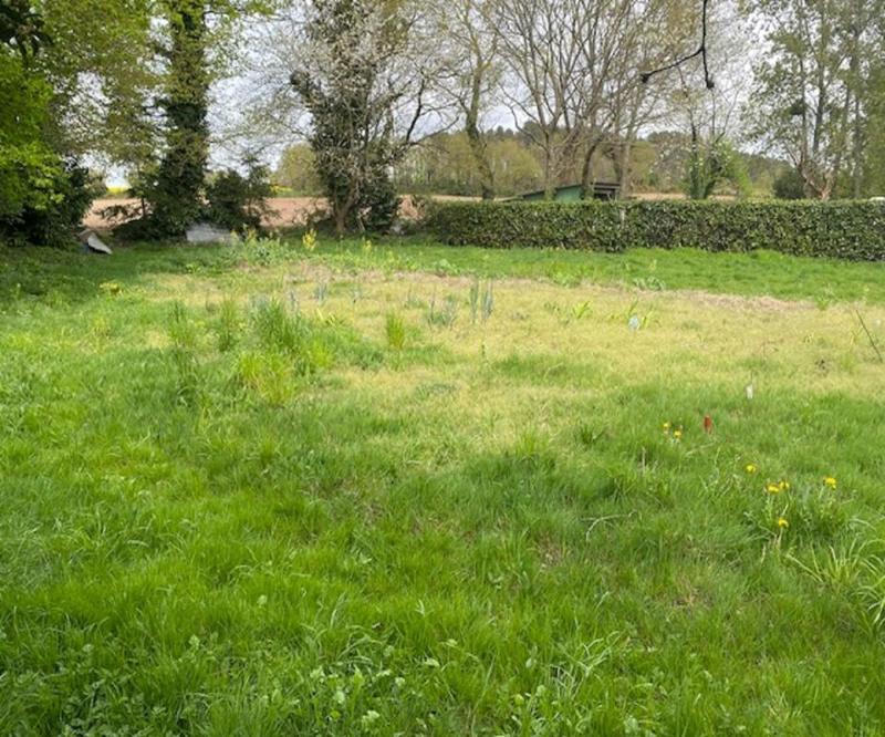 Terrain constructible - 2 530 m²