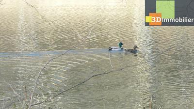 Maison - 500 m² - 11 pièces