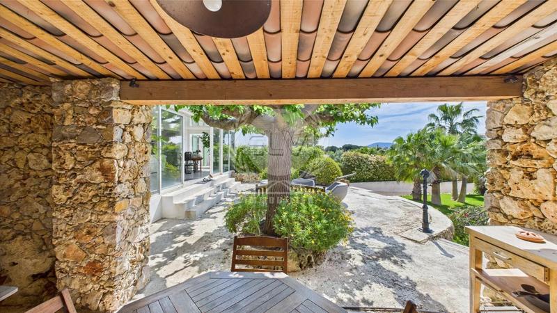 Viager - Maison - 307 m² - 6 pièces