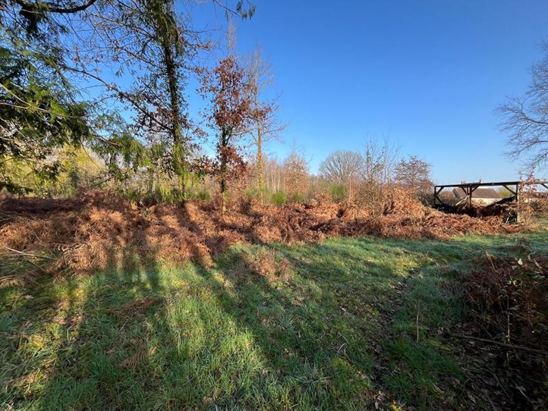 Terrain de loisirs - 10 895 m²