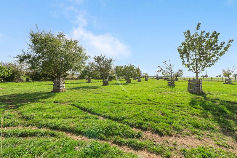 Maison - 250 m² - 8 pièces