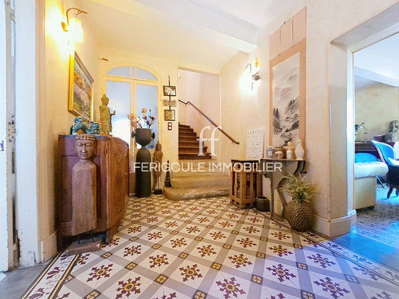 Mas - 353 m² - 10 pièces