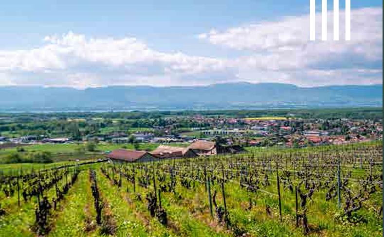 Maison - 109 m² - 5 pièces