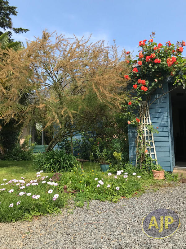 Maison - 160 m² - 4 pièces