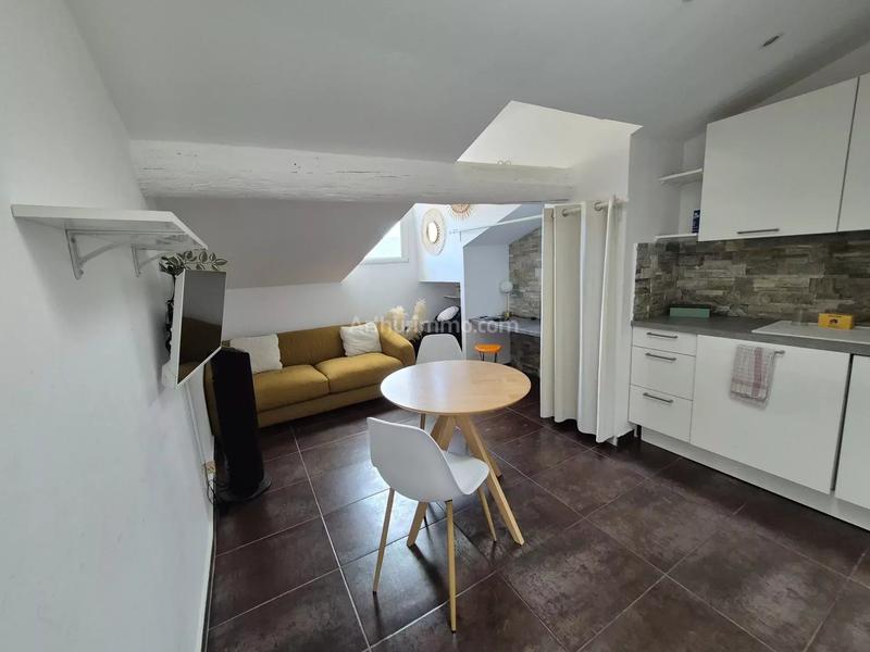 Appartement - 19 m² - 1 pièce