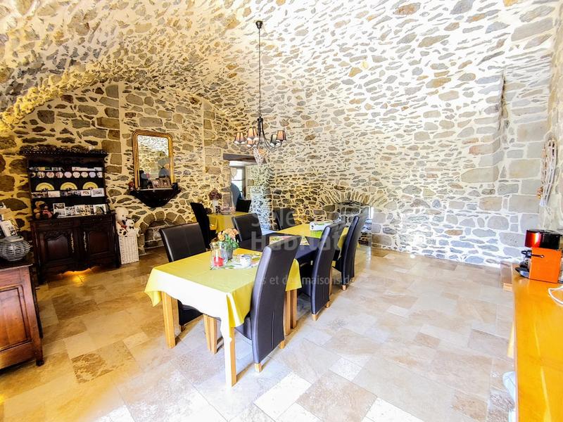 Château - 450 m² - 12 pièces