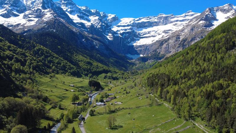 Local commercial - 451 m² - 22 pièces