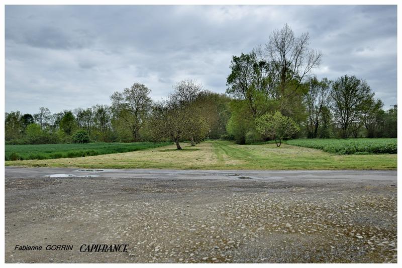 Maison en pierre - 105 m² - 5 pièces