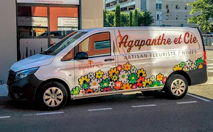 Agapanthe et Compagnie