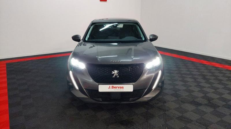 Peugeot 2008 Bluehdi 130 s&amp;S Eat8 Active Business