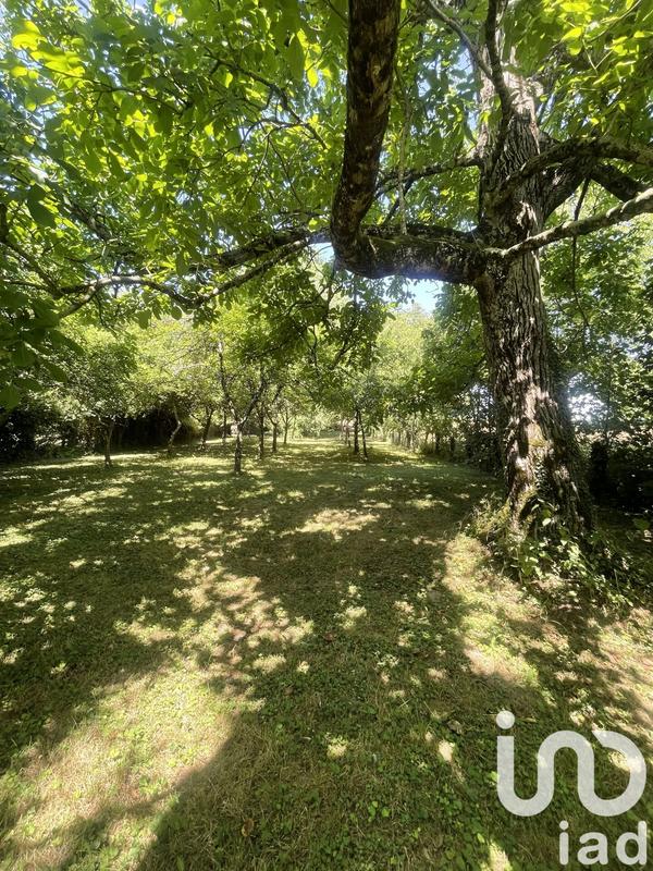 Maison - 208 m² - 7 pièces