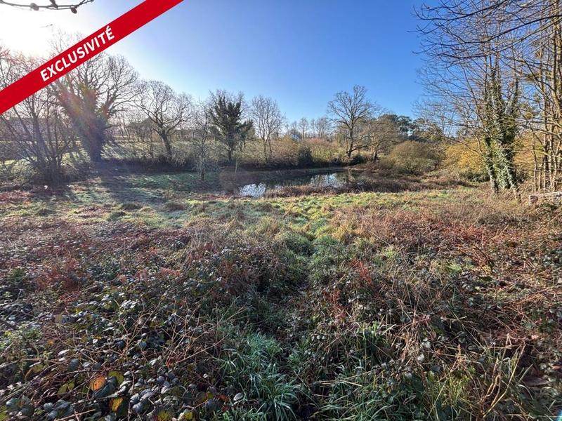 Terrain de loisirs - 3 800 m²