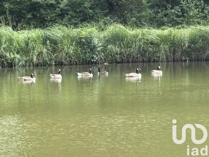 Maison - 242 m² - 5 pièces