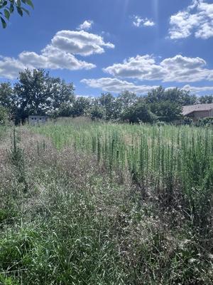 Terrain constructible - 560 m²