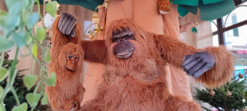 Inauguration des illuminations de Noël