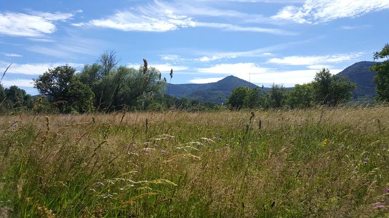 22ème Randonnée gourmande Ottrottoise
