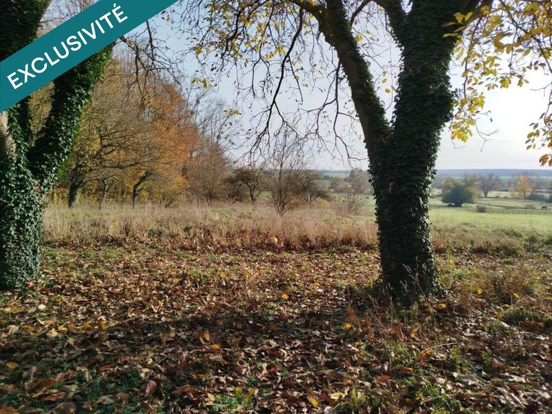 Maison - 118 m² - 7 pièces