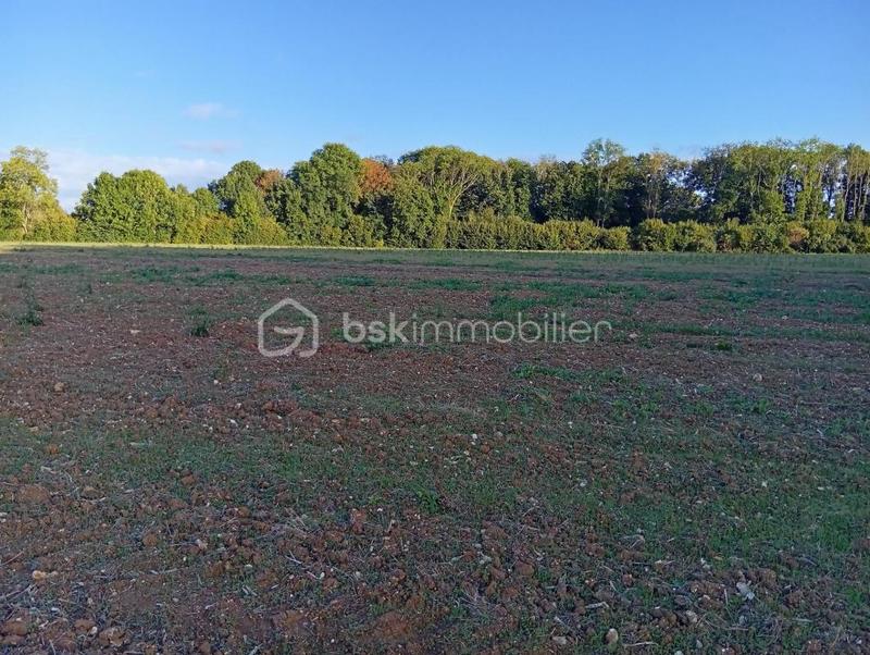 Terrain agricole - 19 960 m²