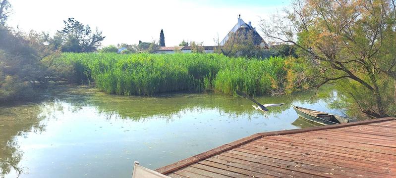 Propriété - 270 m² - 12 pièces