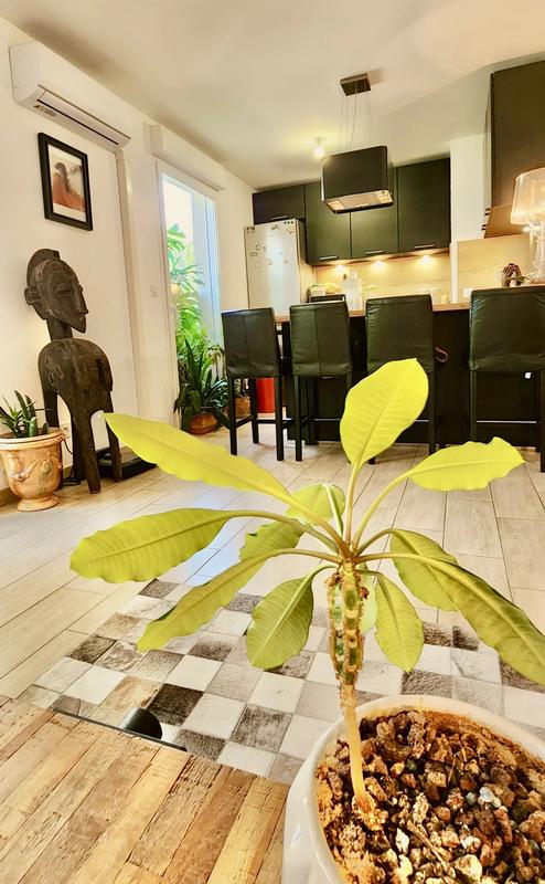 Appartement - 51 m² - 2 pièces