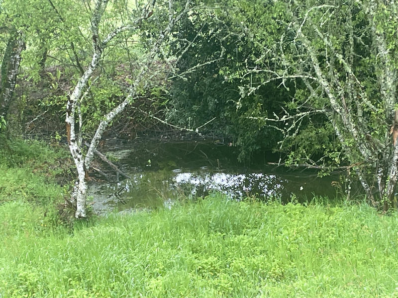 Maison - 250 m² - 6 pièces