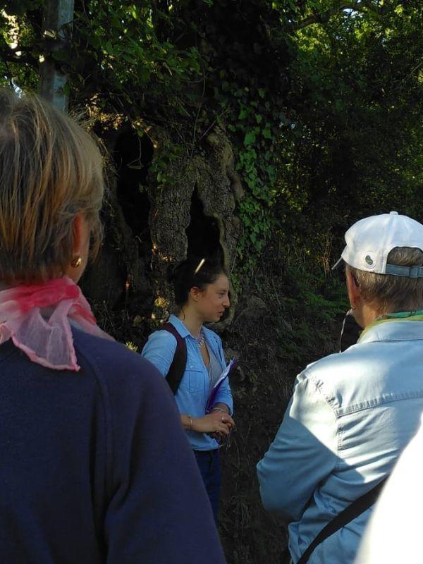 Le remembrement : histoire du bocage