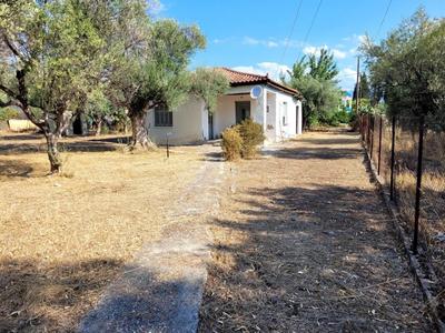 Maison - 77 m² - 3 pièces