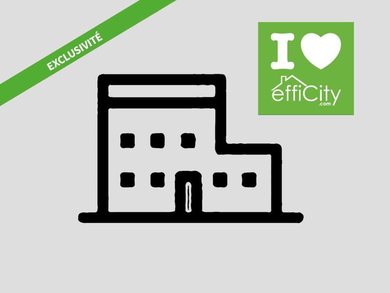 Immeuble - 252 m² - 9 pièces