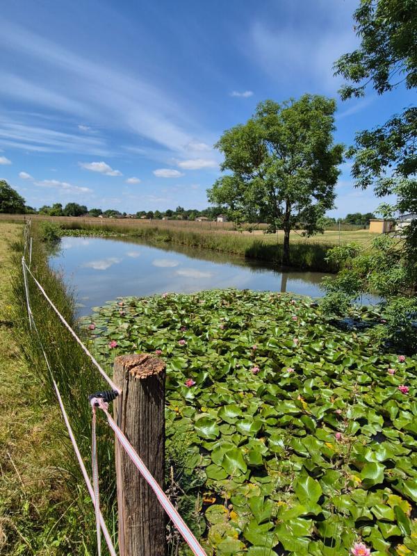 Terrain constructible - 4 200 m²