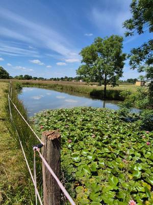 Terrain constructible - 4 200 m²