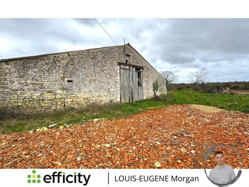 Maison - 593 m² - 10 pièces