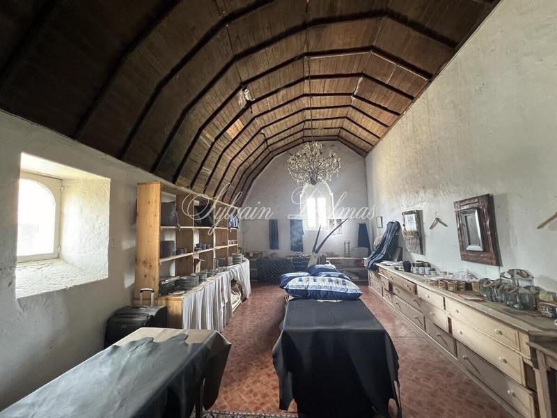 Château - 4 400 m² - 35 pièces