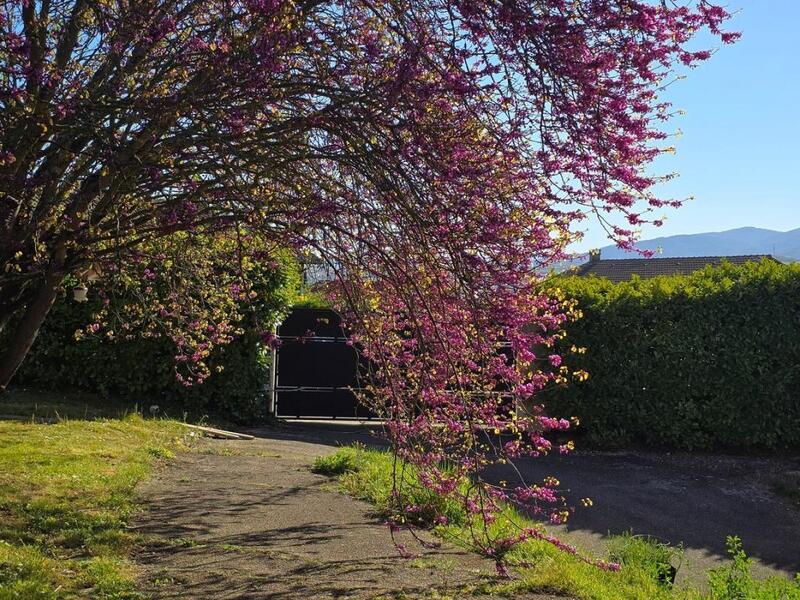 Maison - 111 m² - 5 pièces