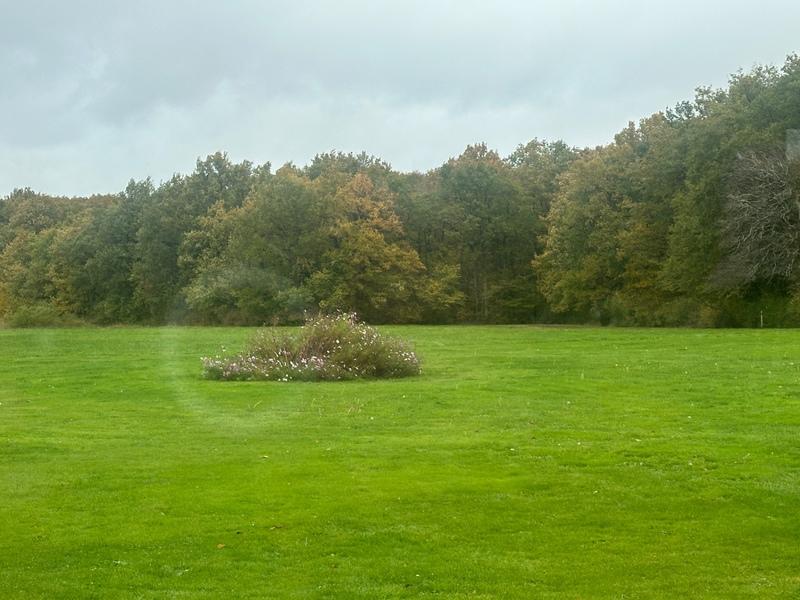 Propriété - 320 m² - 8 pièces