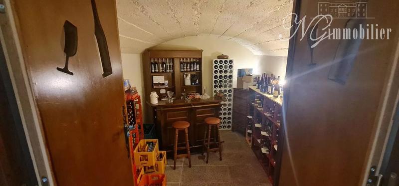 Immeuble mixte - 420 m² - 10 pièces