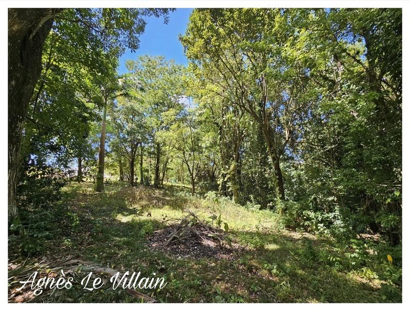 Terrain constructible - 3 502 m²
